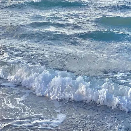 In Elmenhorst An Der Ostseekueste