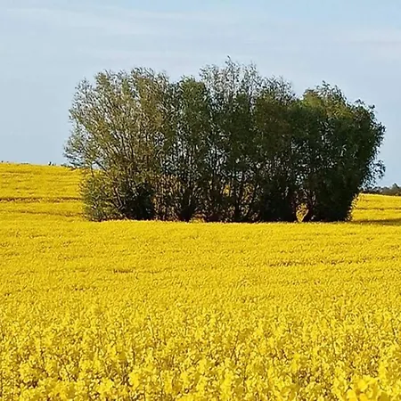 In Elmenhorst An Der Ostseekueste * Kalkhorst